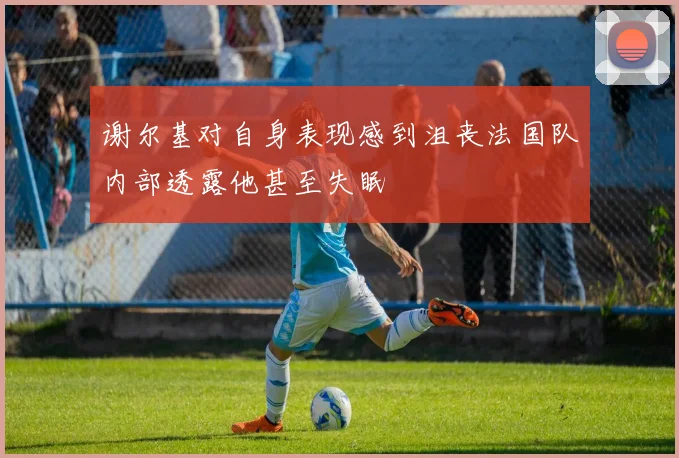 谢尔基对自身表现感到沮丧法国队内部透露他甚至失眠